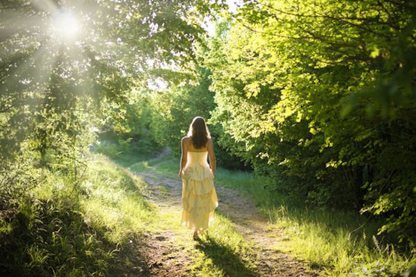 person walking through forest