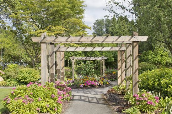 outdoor pergola