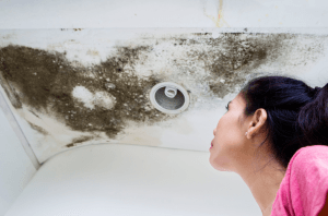 mold on ceiling