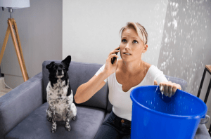 woman catching ceiling leak in bucket