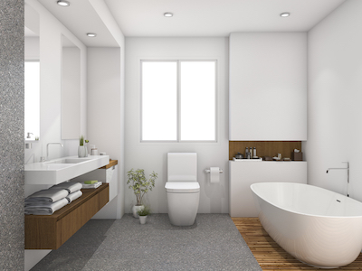 Consider These Options When Buying A New Toilet